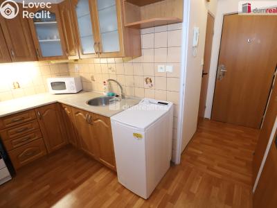 Pronájem bytu 1+1 Aš, Dlouhá č. 7