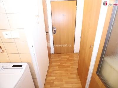 Pronájem bytu 1+1 Aš, Dlouhá č. 8
