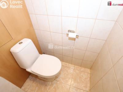 Pronájem bytu 1+1 Aš, Dlouhá č. 12
