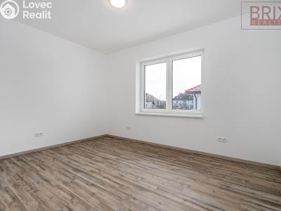 Продажа семейного дома Loket č. 8