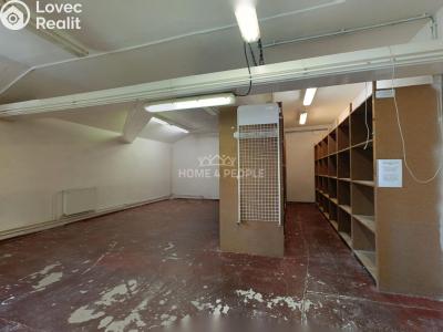 Pronájem výrobní haly Židlochovice, Žerotínovo nábřeží č. 16