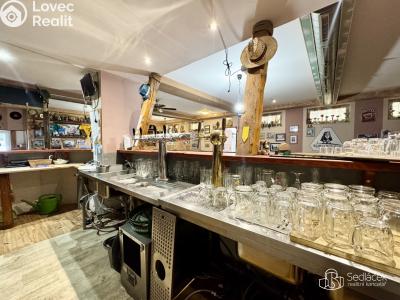 Rent restaurant Sokolov, Gagarinova č. 14