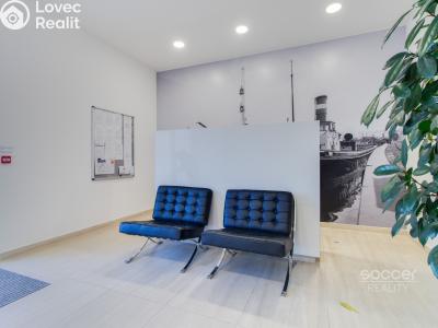 Rent doctor's office Praha, Pod radnicí č. 2