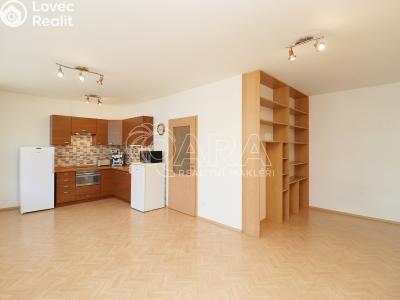 Rent apartment 1+KK Praha 7 č. 1