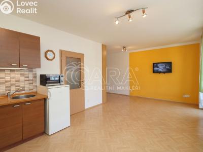 Rent apartment 1+KK Praha 7 č. 2