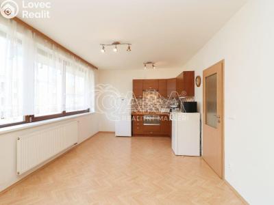 Rent apartment 1+KK Praha 7 č. 5