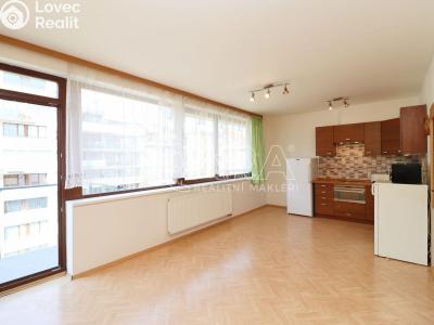 Rent apartment 1+KK Praha 7 č. 6