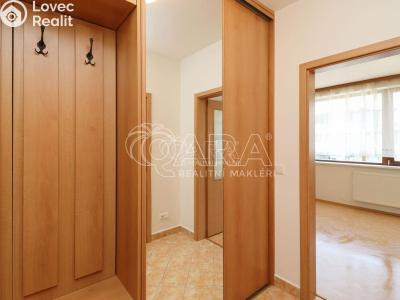 Rent apartment 1+KK Praha 7 č. 9