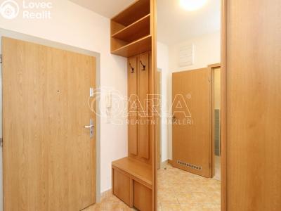 Rent apartment 1+KK Praha 7 č. 10