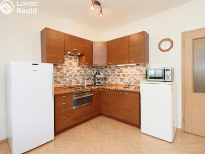 Rent apartment 1+KK Praha 7 č. 12