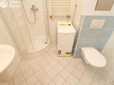 Rent apartment 1+KK Praha 7 č. 13