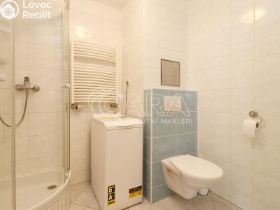 Rent apartment 1+KK Praha 7 č. 14