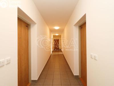 Rent apartment 1+KK Praha 7 č. 15