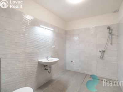 Prodej komerční nemovitosti Mladá Vožice, Souhradí č. 11