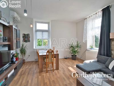 Prodej činžovního domu Nová Bystřice, Vídeňská 383 č. 5