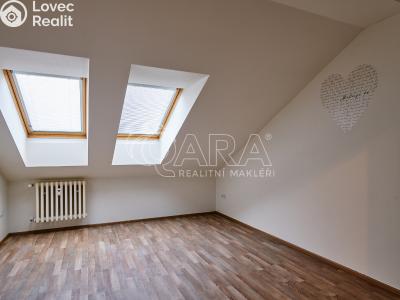 Sale apartment 3+KK Písek, Pražská 481 č. 8