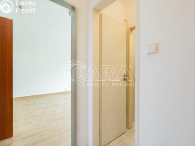 Pronájem bytu 1+KK Praha, Petržílkova č. 8