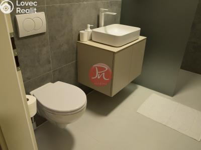 Pronájem bytu 2+KK Soběšovice č. 9