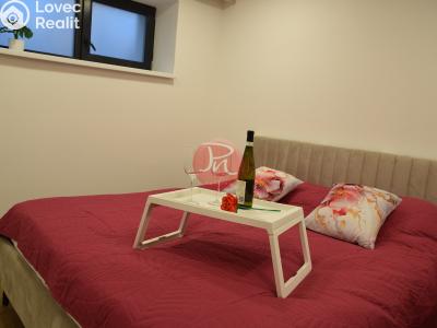 Pronájem bytu 2+KK Soběšovice č. 10