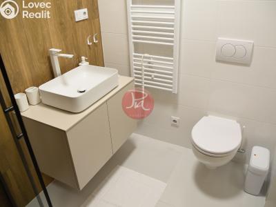 Pronájem bytu 2+KK Soběšovice č. 12