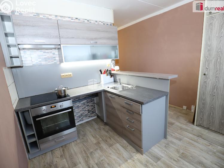 Rent apartment 1+1 Sokolov, Křížová č. 2