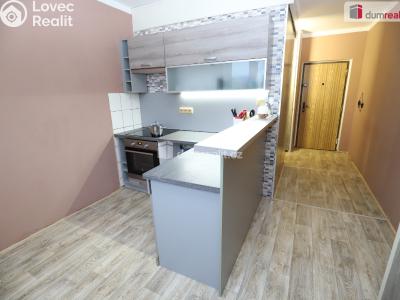 Rent apartment 1+1 Sokolov, Křížová č. 1