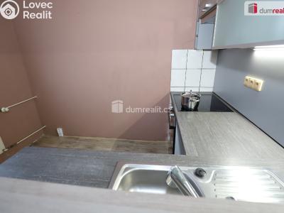 Rent apartment 1+1 Sokolov, Křížová č. 5