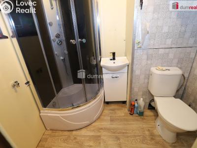 Rent apartment 1+1 Sokolov, Křížová č. 9