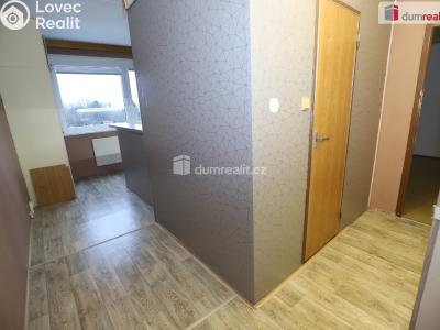 Rent apartment 1+1 Sokolov, Křížová č. 13