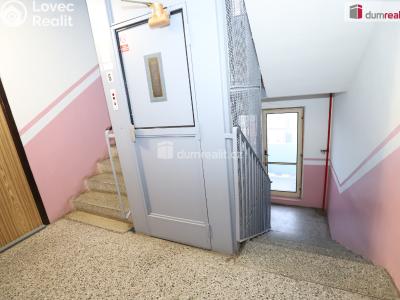 Rent apartment 1+1 Sokolov, Křížová č. 14