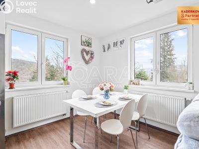 Продаж хатини Brno č. 8