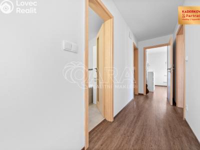 Продаж хатини Brno č. 35