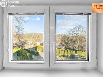 Продаж хатини Brno č. 39