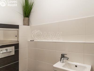 Pronájem bytu 4+KK Praha, K Beranovu č. 24