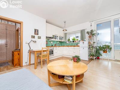 Prodej bytu 1+KK Praha, U Smetanky č. 8