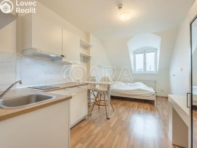 Prodej bytu 1+KK Praha, Radlická č. 1