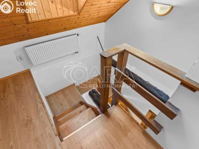 Rent family house Říčany, Hlavní 47 č. 19