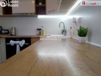 Rent apartment 2+1 Chodov, Revoluční č. 3