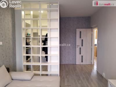 Rent apartment 2+1 Chodov, Revoluční č. 23