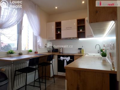 Rent apartment 2+1 Chodov, Revoluční č. 5