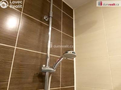 Rent apartment 2+1 Chodov, Revoluční č. 37