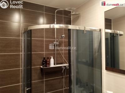 Rent apartment 2+1 Chodov, Revoluční č. 42