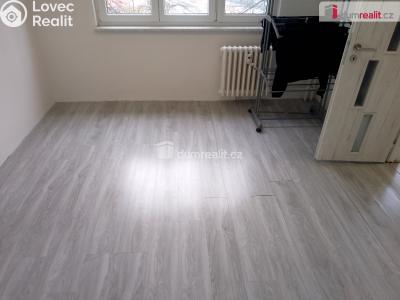 Rent apartment 2+1 Chodov, Revoluční č. 50