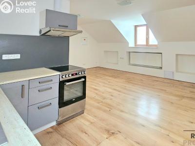 Rent apartment 1+KK Třebotov, Hlavní č. 3