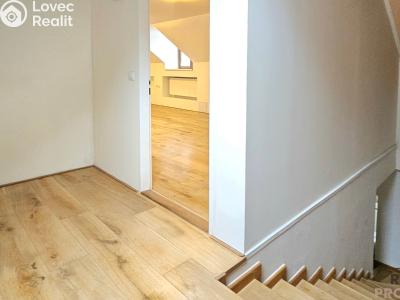 Rent apartment 1+KK Třebotov, Hlavní č. 7