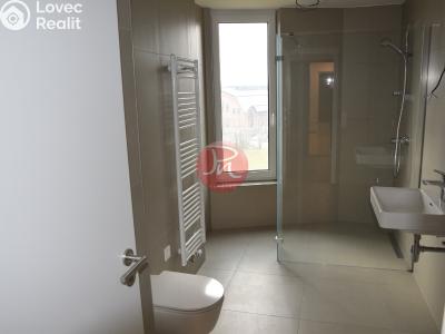 Оренда квартири 2+KK Ostrava, F. X. Riepla č. 7