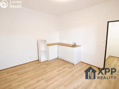 Rent apartment 1+KK Chlum u Třeboně č. 2