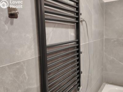 Rent apartment 1+KK Chlum u Třeboně č. 10