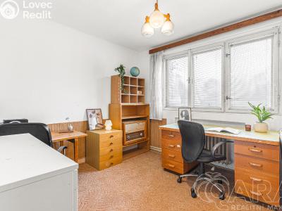 Продаж сімейного будинку Týnec nad Sázavou č. 13