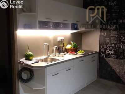 Оренда квартири 2+KK Frymburk č. 1